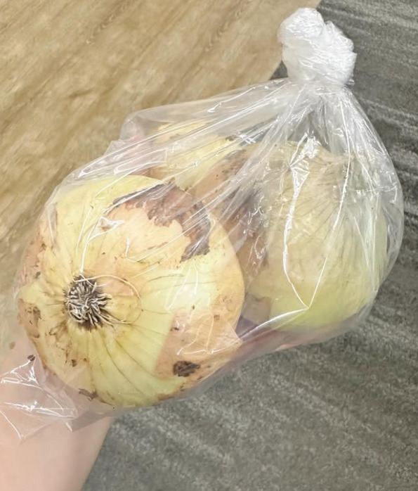 新玉ねぎ頂きました