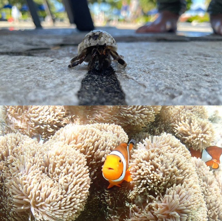 第1回 お盆休み写真 選手権