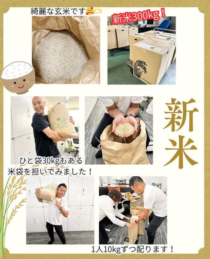 New rice has arrived